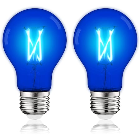 A19 LED Edison Blue Light Bulbs 4.5W 60W Equivalent Clear Glass E26 Base, 2PK